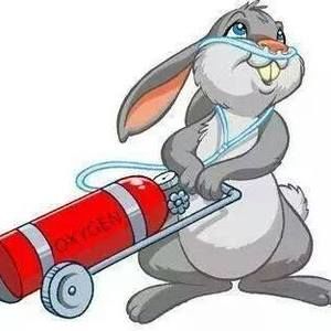 Meet your Posher, Joann